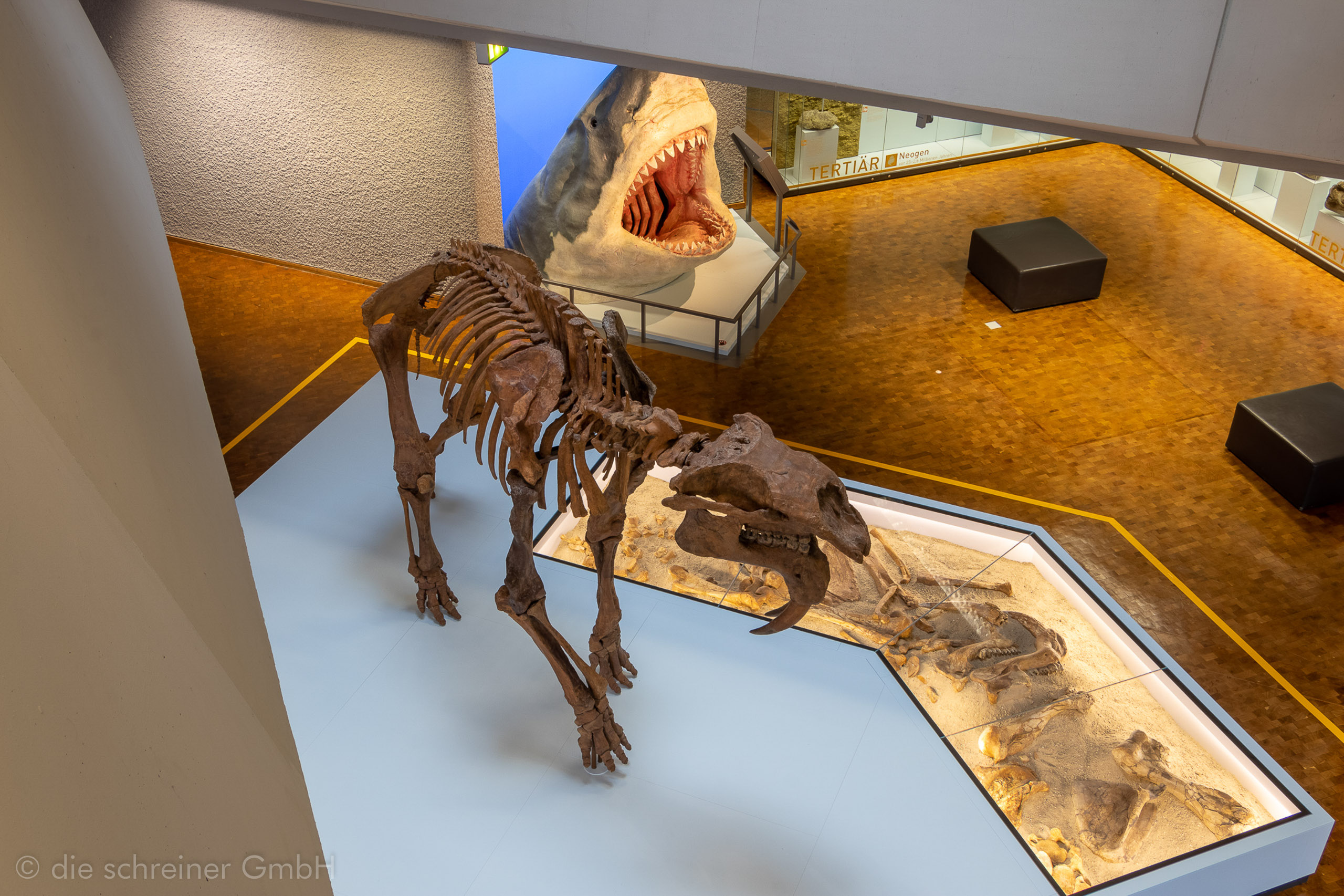 Naturkundemuseum Stuttgart