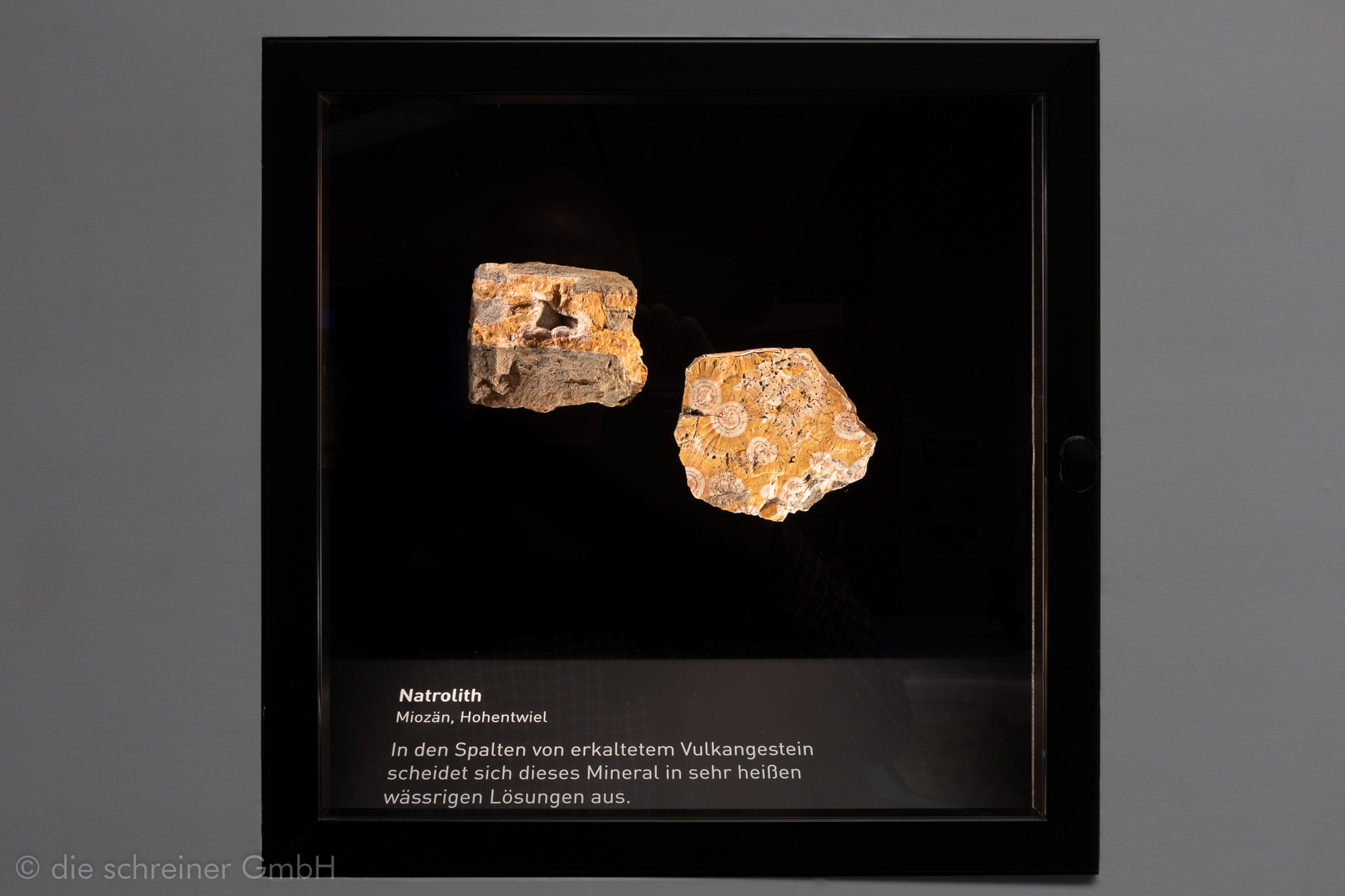 Naturkundemuseum Stuttgart